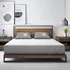Aoyego - Funda De Almohada Con Diseño De Diente De León, 12. Liso 2 Plazas