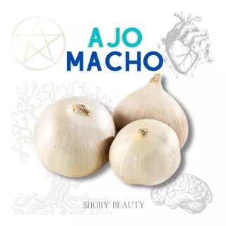 Ajo Macho Orgánico Producto Pemium 500 Gr