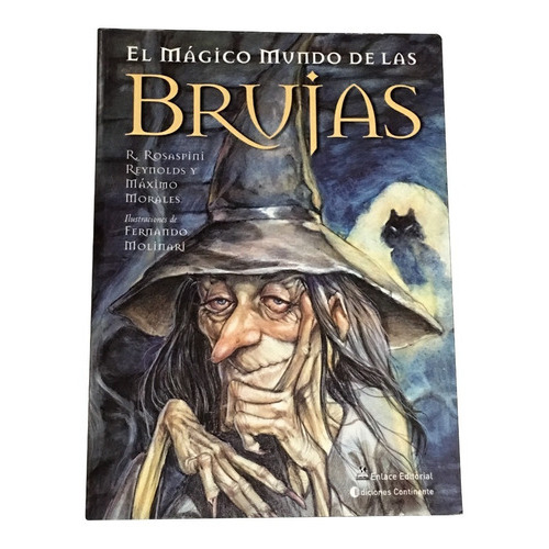 EL MAGICO MUNDO DE LAS BRUJAS, de ROSASPINI REYNOLDS ROBERTO. Editorial Continente, tapa blanda en español