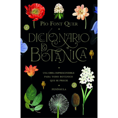 Diccionario De Botánica - Pío Font Quer