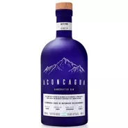 Gin Aconcagua Handcrafted London Dry 750ml 
