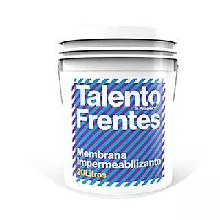 Impermeabilizante Frentes Y Muros Talento X10 Litro Polacrin