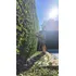 Servicios De Jardinería Y Paisajismo 