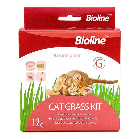 Kit Completo Pasto Para Gatos, Hierba Gatera, Bioline