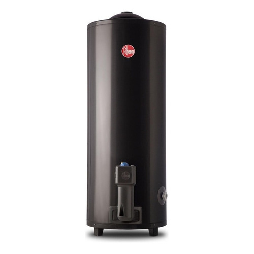 Termotanque A Gas Natural Rheem Aee Tgnp120rh Gris 120l Color Gris oscuro