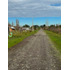 Parcela De 5000m2 En Portal Quillon  (175523)