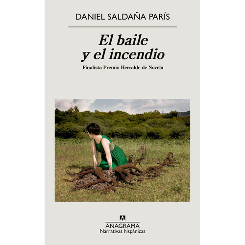 Libro El Baile Y El Incendio - Daniel Saldaña París