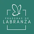 development-logo