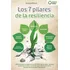 Los 7 Pilares De La Resilienciao Entrenar La..., De Morel, Emilia. Editorial Independently Published En Español