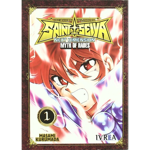 Libro Saint Seiya Next Dimension Myth Hades 1 [ En Español ]