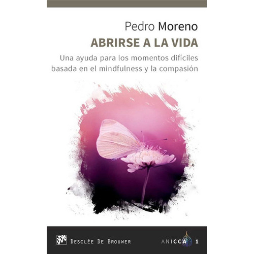 Abrirse A La Vida, De Pedro Moreno. Editorial Desclee, Tapa Blanda En Español