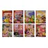 Set 8 Libros Surtidos Para Colorear 16 Paginas Niñas