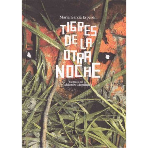 Tigres De La Otra Noche (premio Hispanoamericano De Poesia P