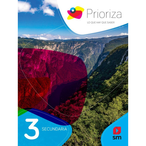 Prioriza Secundaria Tercer Grado, De Alma Yolanda Castillo Rojas. Editorial Ediciones Sm, Tapa Blanda En Español, 2021