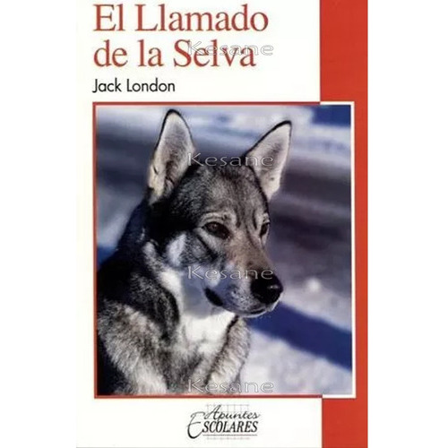 El Llamado De La Selva: El Llamado De La Selva, De Jack, London. Serie 1, Vol. 1. Editorial Epoca, Tapa Blanda, Edición Edesa En Español, 2019