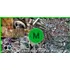 Metales Compra, Mayoristas 