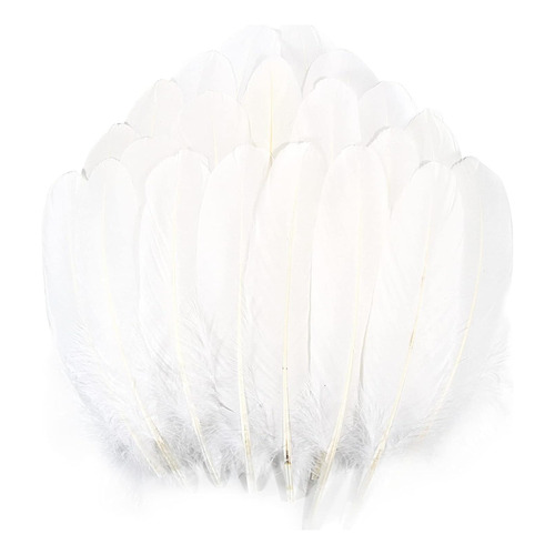 Plumas Ganso Pavo Decorativa Naturales Con 50 Plumas 15-20cm Color Blanco