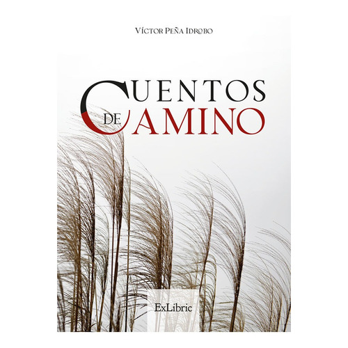 Cuentos De Camino, De Víctor Peña Idrobo