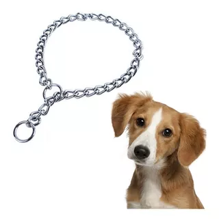 Collar Metalico Sgoda Entrenamiento Mascotas Adiestramiento 