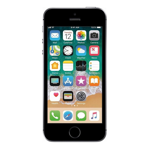  iPhone SE 16 GB cinza-espacial