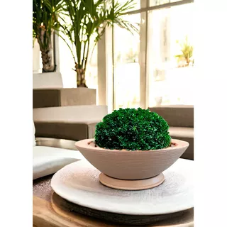 Vaso De Plantas Bowl Decorativo Polietileno 52x15,5 