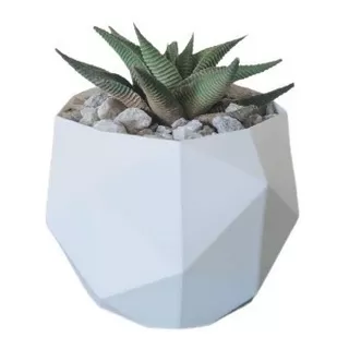 Materos Porrones Decorativo Modernos Para Suculentas Cactus