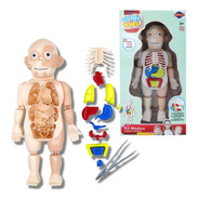 Brinquedo Kit Médico - Corpo Humano Educativo 13 Pçs - Toyng