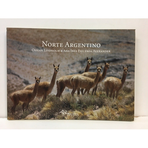 Norte Argentino, de Lindholm Figueroa Alexander. Editorial Maizal en español