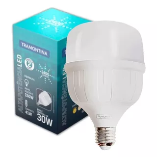 Lâmpada Led 30w Bulbo E27 6500k Luz Branco-frio 110v/220 110v/220v