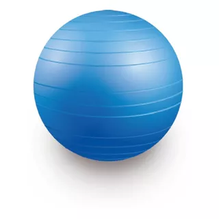 Balon Bobath 65cm Para Yoga Fitness Gimnasio Rehabilitacion 