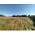 Terreno Agrícola En Venta, Campo De 60 Ha, Teno