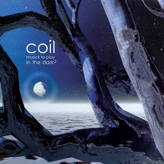 Coil - Musick To Play In The Dark 2 Cd