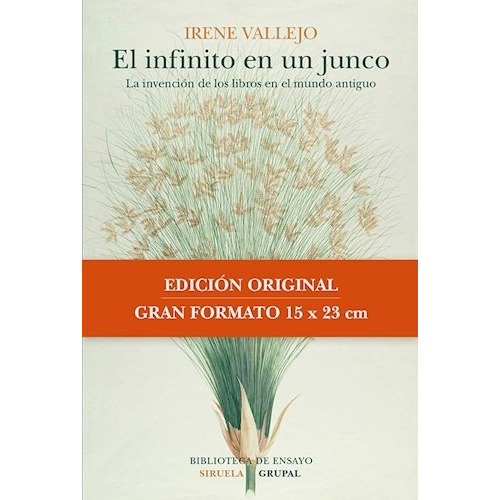 Libro El Infinito En Un Junco (coedicion) De Irene Vallejo
