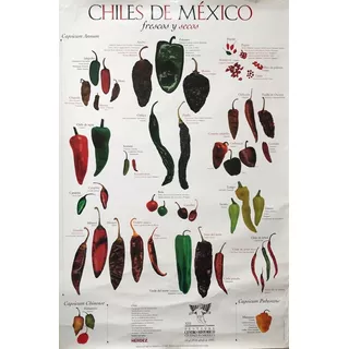 Póster / Afiche / Cartel - Chiles De México - 1997 Vintage