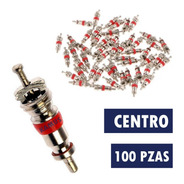 100 Pz Centro Pivote Alma Para Válvulas Sellomaticas + Envio