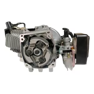 Motor Completo 49cc 2t Mini Moto Quadri S/ Pinhão