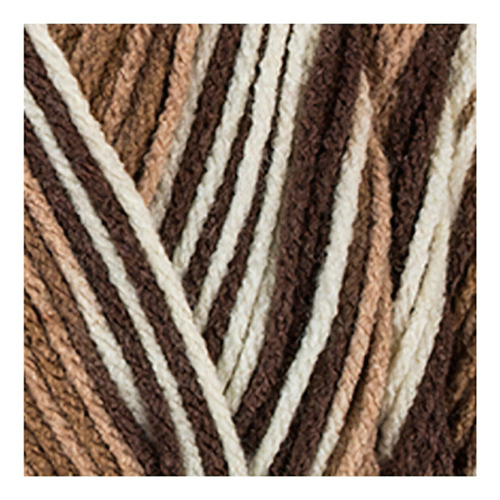 Estambre Multicolor Fleck Super Saver Red Heart Coats Color 0992 Shaded Browns