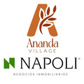 development-logo