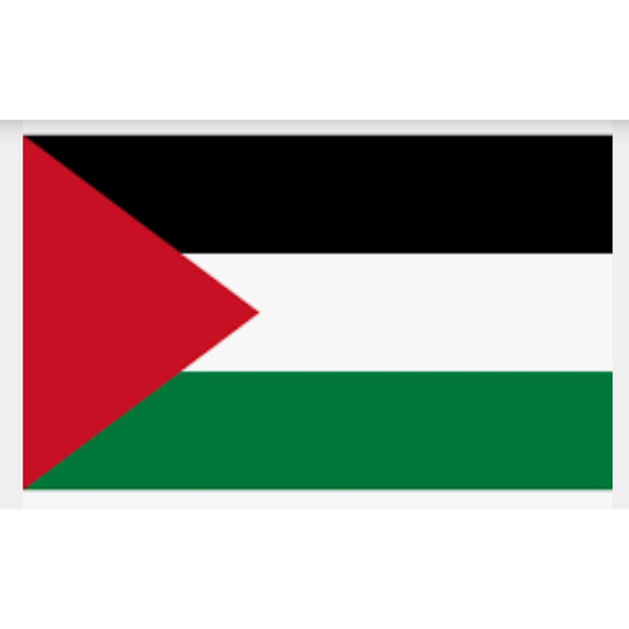 Bandera De Palestina De 1.40 X 90 Exteriores 