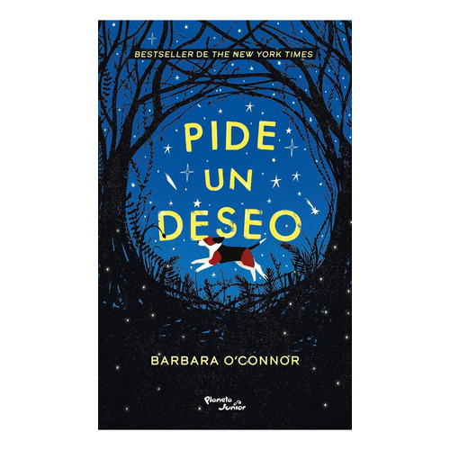 Pide un deseo: No aplica, de O'nor, Barbara. Serie No aplica, vol. No aplica. Editorial Planeta, tapa pasta blanda, edición 1 en español, 2023