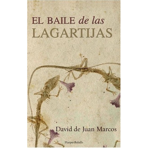 El Baile De Las Lagartijas - David De Juan Marcos, De David De Juan Marcos. Editorial Harper Collins Español En Español