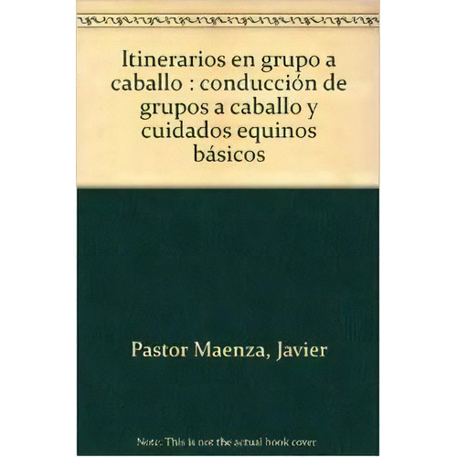 Itinerarios En Grupo A Caballo., De Pastor Maenza, Javier. Editorial Ecir S.a., Tapa Blanda En Español