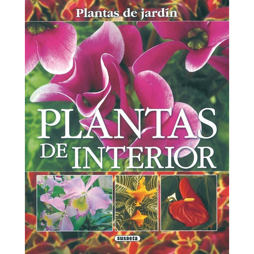 Plantas De Interior, De Alonso De La Paz, Francisco Javier. Editorial Susaeta, Tapa Blanda En Español