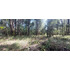 Venta Parcela Villarrica Altos De Pino Huacho (173215)