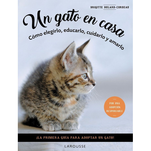 Un Gato En Casa, De Bulard-cordeau, Brigitte. Editorial Larousse, Tapa Blanda En Español