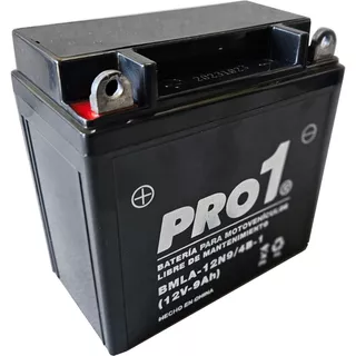 Batería Moto 12n9-4b-1 Pro1 Agm