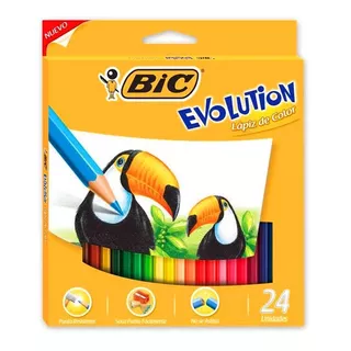 Lapiz Color Bic Evolution - Pack X24 Unidades