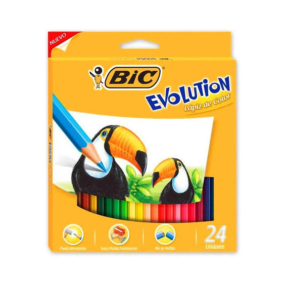 Lápices De Colores Bic Evolution 24 Colores