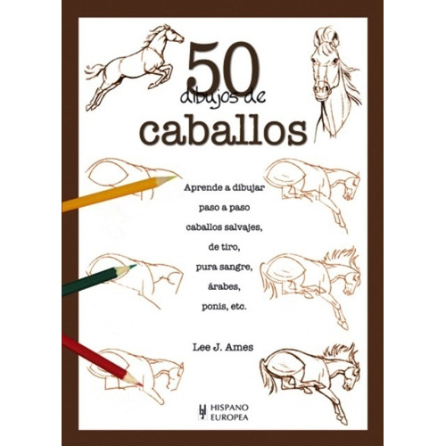 Caballos 50 Dibujos De