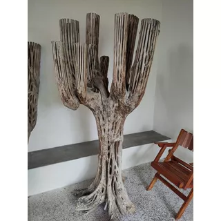 Raiz Cactus Madera Fosil Decorativo Tronco Maceta Terraza M1